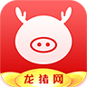 龙猪网app