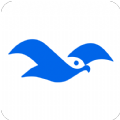 海鸥社交app